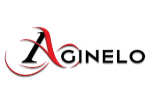 Aginelo Enterprises LLC