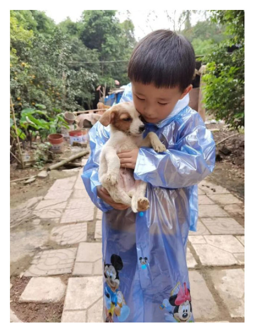 World Dog Alliance: The People's Republic of China Takes a Historic Step Forward in Animal Protection Education