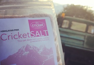 Cricket Flours Launches New Cricket Salt