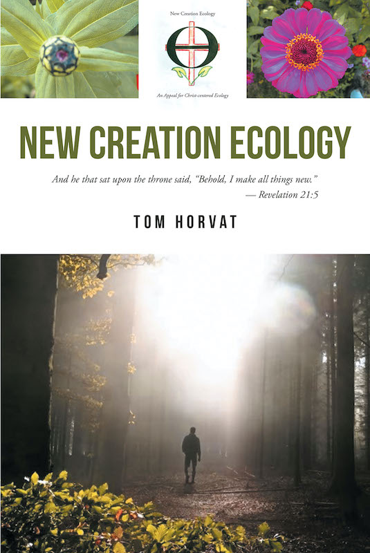 the other book roe horvat the other book roe horvat