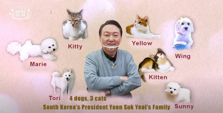 President Yoon's dogs and cats