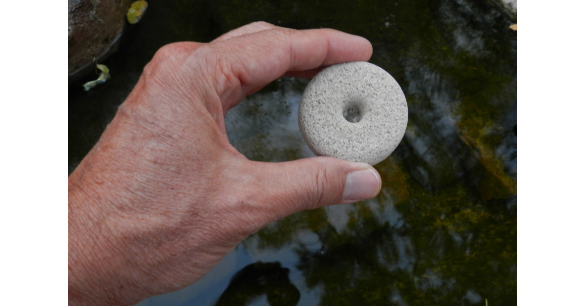 Top 3 Home and Garden Trends for 2021 Newswire