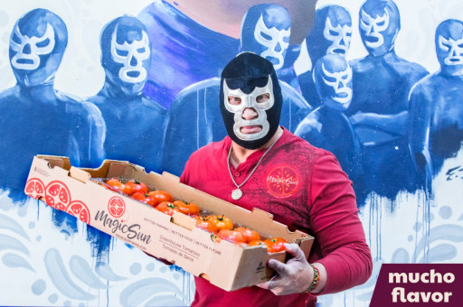 Magic Sun Farms Joins Blue Demon to Fight for the Organic Tomatoes US Market