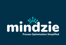 Process Optimization Simplified