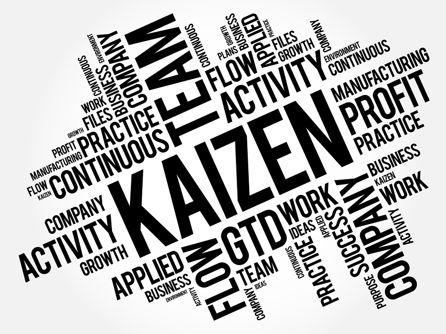 Kaizen And The Art Of Continuous Improvement Drive CEO Brandon Frere ...