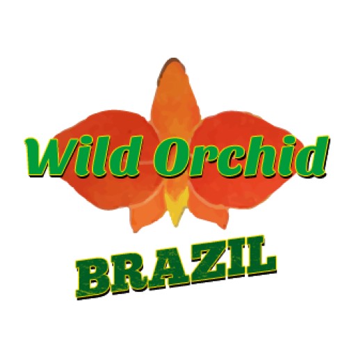 The Wild Orchid Project Strives to Make a Tangible Difference in the Global Strategy on Plant Conservation