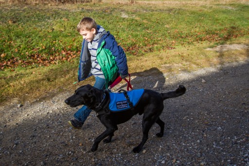 Service Dogs by Warren Retrievers Promotes World Diabetes Day