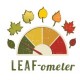 As Autumn Approaches, Visitors Can Catch the Colors With Flagstaff's LEAF-ometer