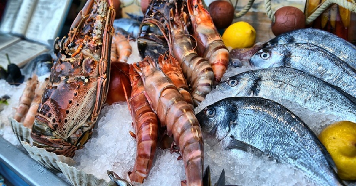 Anderson Seafoods Providing HighQuality Seafood for 40 Years Newswire