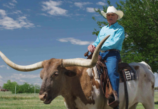 A Legendary Duo: Tex Earnhardt and Chisholm, the Iconic Steer of Arizona Advertising