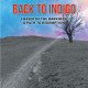 Bradleigh Munk's New Book 'A Road Back to Indigo', the Second Book of the Series, is a Riveting Adventure Following a Band of Friends' Travels Through Time