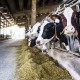 U.S. Gain Expands Investment in Dairy Industry