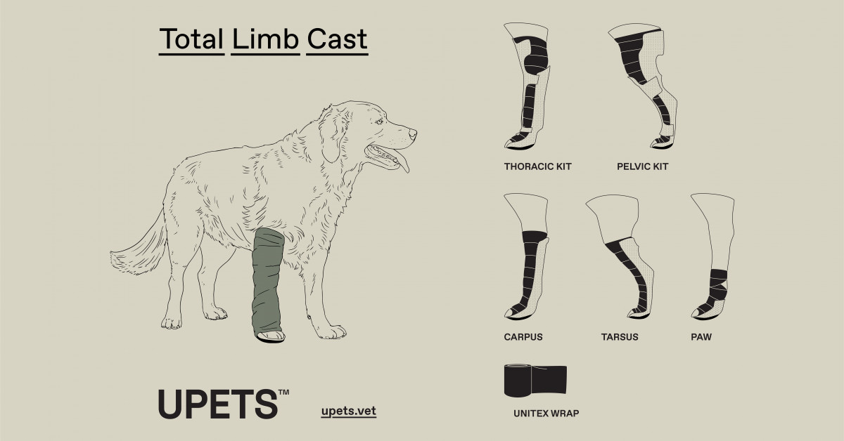 OrthoPets Launches Anatomically Shaped Casts to Eliminate Pressure