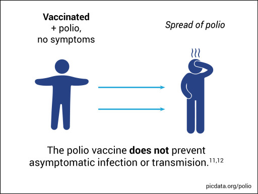 Physicians for Informed Consent States, ‘For Normal-Risk Children, the Polio Vaccine is Not Proven Safer Than Polio Infection’