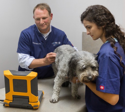 E.I. Medical Imaging Introduces Partnership with FASTVet for Companion Animal Training