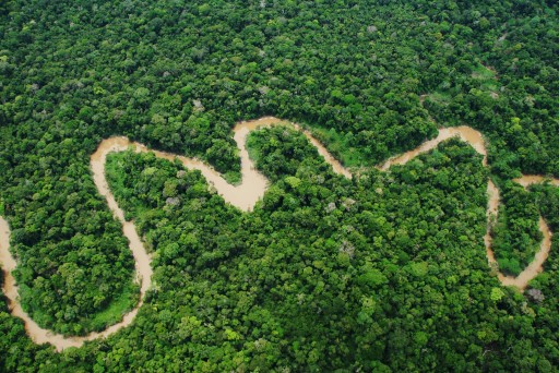 Peru Protects More Than 2 Million Acres of Rainforest by Creating Yaguas National Park