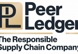 Peer Ledger Logo