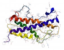 HGH Molecular Structure