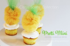The Citrus Soiree Collection By Pretti Mini