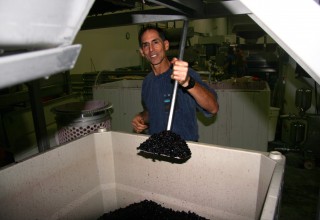 Grape Crushing