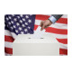 Redo Voting Announces Solution to Provide America With Unassailable Election Integrity