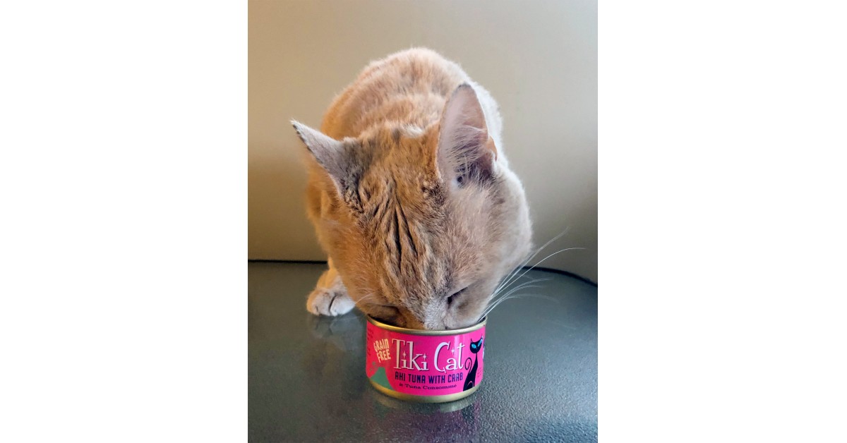Tiki Dog and Tiki Cat Food Donations Support Shelters in Crisis, Help