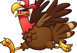 Don't Be A Debt Consolidation Turkey!