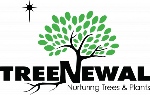 TreeNewal Unveils New Logo and Website, Enabling New Growth