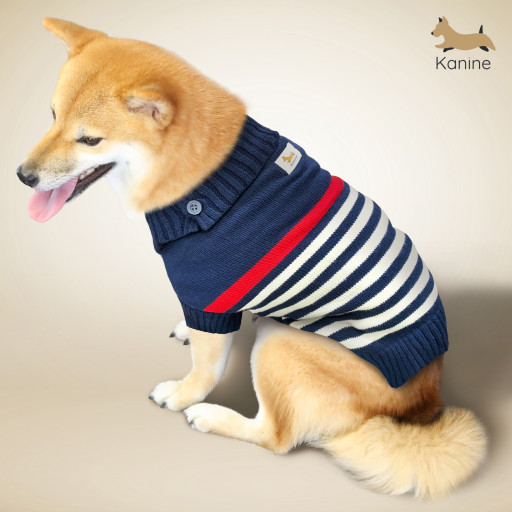 Kanine Group Launches Dog Apparel, Accessories and Home Products With Boss Dog Accessories, Warner Brothers’ DC League of Super-Pets and Kanine Brands
