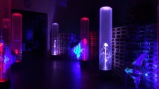 Water Tubes Bring Dancing Water Fountains Indoors for Water-Themed Special Events