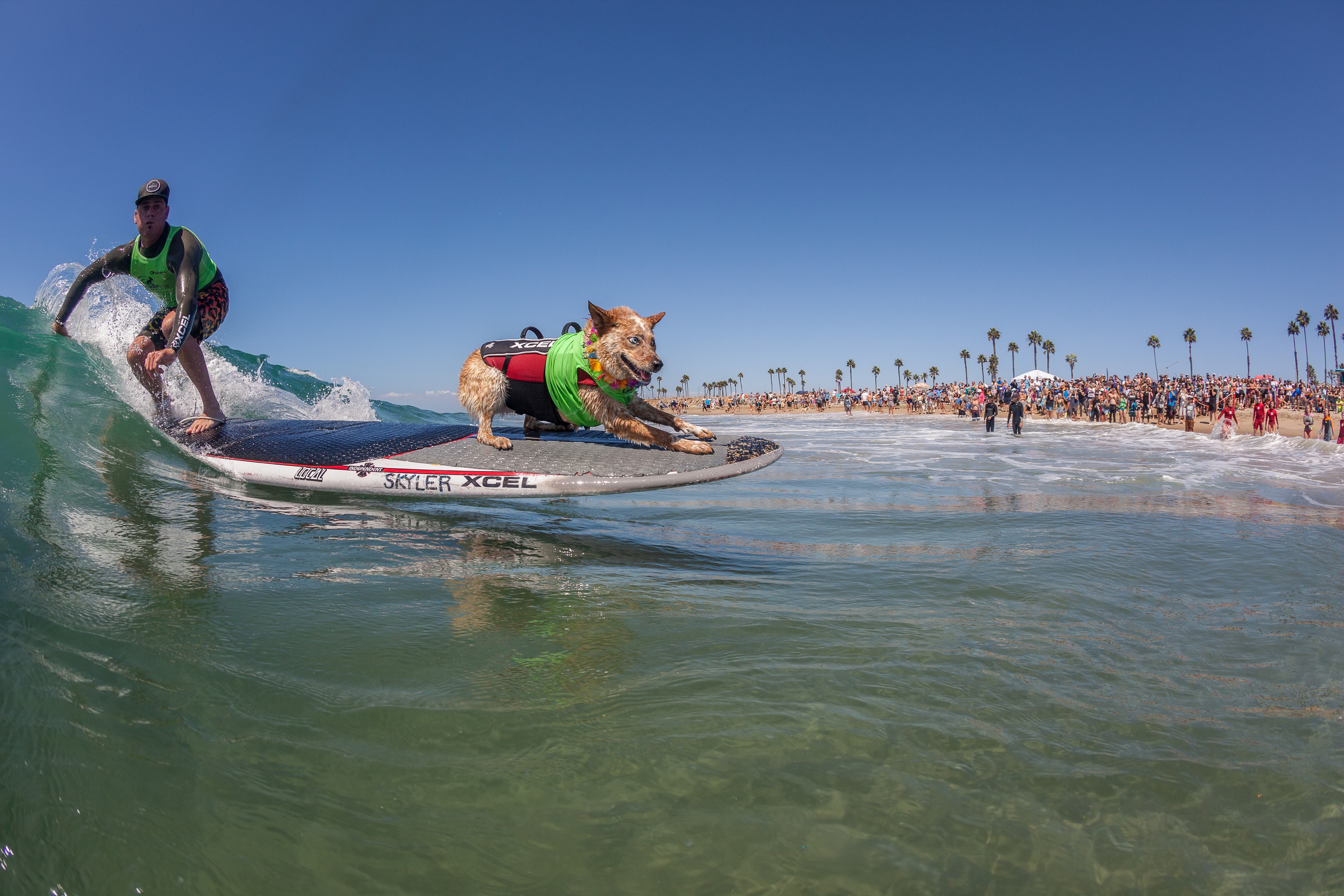 Para surfers from around the globe compete this week in Huntington Beach –  Orange County Register