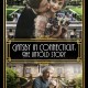 What Was the True Inspiration Behind the Great American Novel 'The Great Gatsby'? Vision Films Proudly Presents the Documentary That is Set to Send Shock Waves Through the Literary World - GATSBY in CONNECTICUT: THE UNTOLD STORY