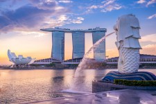 Top 10 Jungle Goes Global With Nuriel Investments Singapore