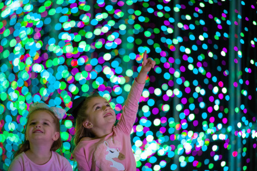 World of Illumination Donates $25,000 in Ticket Proceeds to Make-a-Wish Arizona