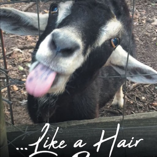 Carol J. Williams's New Book 'Like a Hair in a Biscuit' is an Inspiring Story of a Woman's Eventful Life From Bustling Streets to Country Roads.