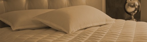 Take Advantage of Presidents Day Sale of Discount Mattresses in Cooper City and Dania Beach. 954beds.com Makes Investing in Quality of Life Easier on the Wallet.