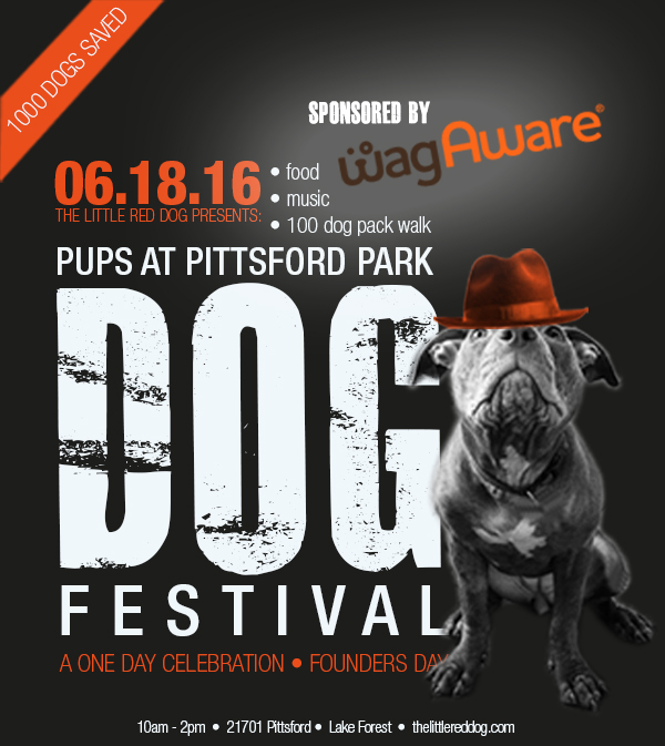 The Little Red Dog to Celebrate Over 1,000 Dogs Rescued and Adopted