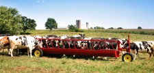 Cattle Feeder Wagon for Dairy Farmers