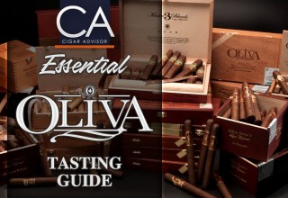 Essential Oliva Tasting Guide