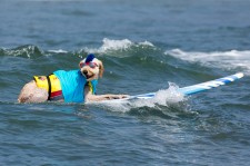 Surf's Up by Ronen Tivony