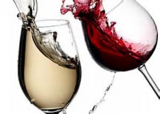 Wine Tasting Fall Harvest