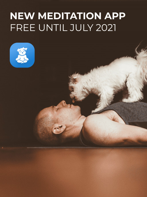 The #1 Rated Yoga App, Down Dog, Releases Free Meditation App.