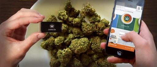 Technology and Markets News Provider, GekBuzz Says, the Marijuana Vape Industry Expected to Reach Billions by 2021