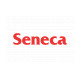 Process Fusion Partners With Seneca to Provide Digital Process Automation Microcredential