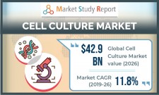 Cell Culture Market Research Report