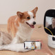 Guuluu Announces FaceTime Pet Camera to Stay in Contact with Pets 24/7 via Phone