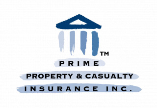 PPCI Company Logo