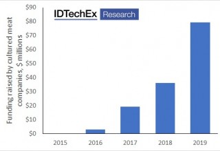 Investment in the cultured meat industry has risen rapidly in recent years. (Source: IDTechEx report "Plant-based and Cultured Meat 2020-2030") 
