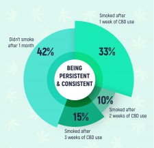 Cannabidiol Study Shows Reduction of Cigarette Consumption by 42%: Study by the Cannabis Radar