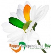 69% Off on 69th Independence Day Celebration
